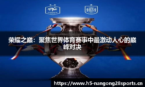 ng28体育