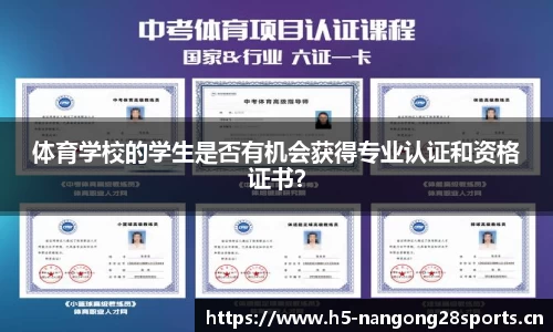 ng28体育平台