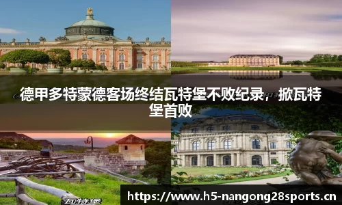 ng28体育官网