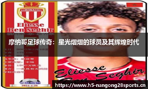 ng28体育官网