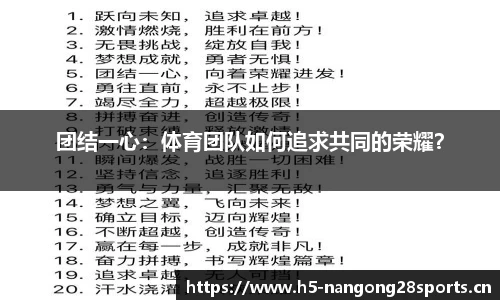ng28体育官网