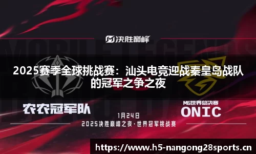 ng28体育平台